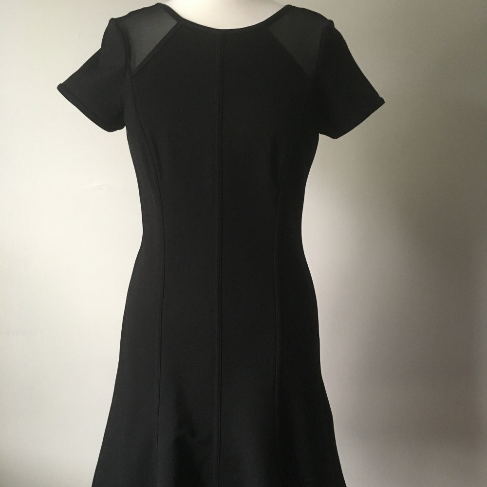 NWT Ann Taylor Sheer Insert Short Sleeve Dress